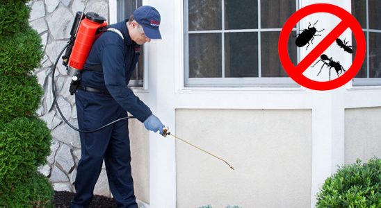 Banaz Böcek İlaçlama böcek ilaçlama ve haşere kontrolü — ilaclama-tr.com